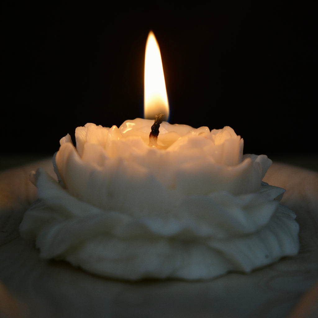 Peony Flower Candle